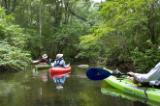 Kayaking on the Aucilla River.